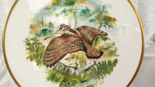 Collectable Royal Chelsea Bone China Birds of the Countryside Decorative Plate "THE WOODCOCK"  276mm