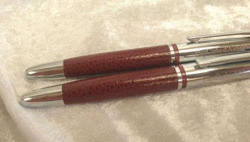 PierCarlo d'Alessio Designer Collection Iradium Point Fountain pens (Leather) in Holder -unused