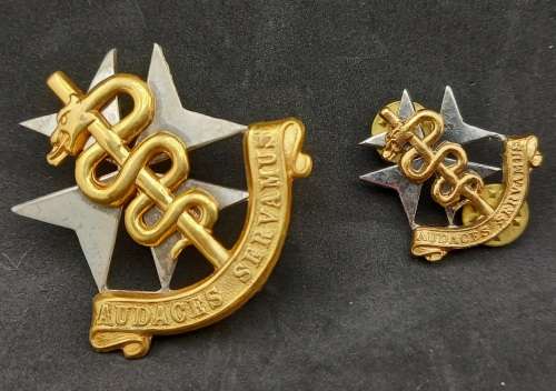 2 SA Medical Services badges - Audaces Servamus