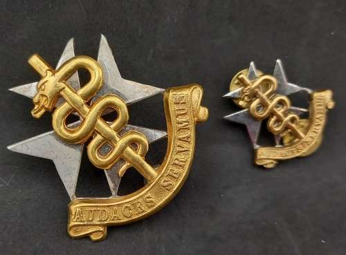 2 SA Medical Services badges - Audaces Servamus