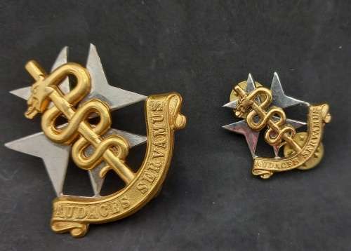 2 SA Medical Services badges - Audaces Servamus