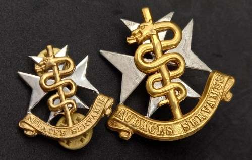 2 SA Medical Services badges - Audaces Servamus