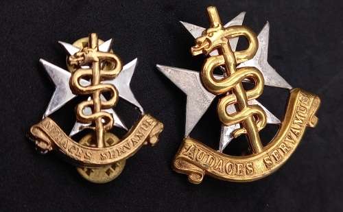 2 SA Medical Services badges - Audaces Servamus