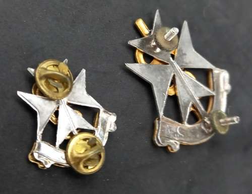 2 SA Medical Services badges - Audaces Servamus