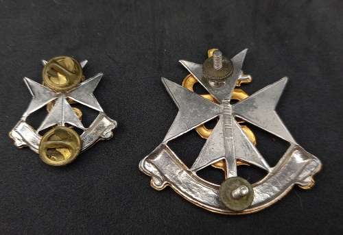 2 SA Medical Services badges - Audaces Servamus