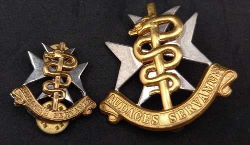 2 SA Medical Services badges - Audaces Servamus