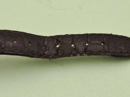 Vintage Ladies Omega De Ville Mechanical watch in Omega case  - working