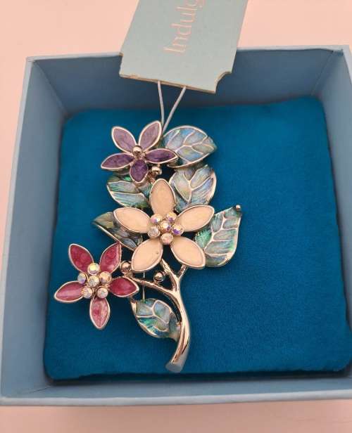Indulgence metal Brooch still in Box  65x50mm