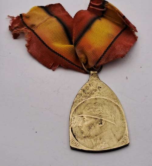 Original Belgium WW1 1914-18 War Service Medal