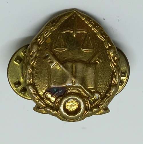 Vintage South Africa GDPS Prison Services Collar badge - Brass  22x17mm