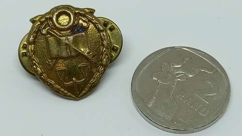 Vintage South Africa GDPS Prison Services Collar badge - Brass  22x17mm