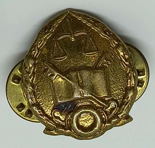 Vintage South Africa GDPS Prison Services Collar badge - Brass  22x17mm
