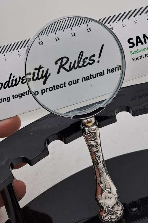 Antique Hallmarked Sterling Silver Magnifying Glass -England