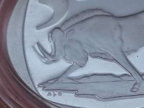 1999 ININGIZIMU AFRIKA PROOF R5 in Capsule.