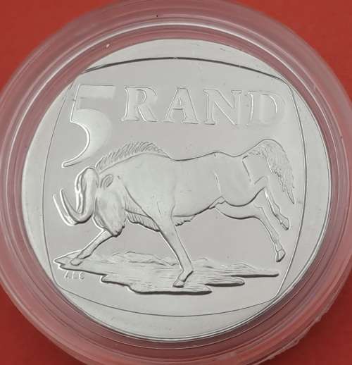 1999 ININGIZIMU AFRIKA PROOF R5 in Capsule.