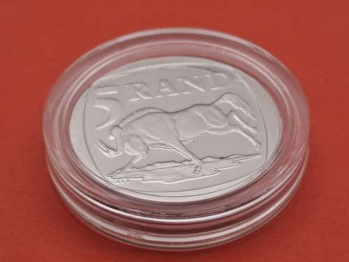 1999 ININGIZIMU AFRIKA PROOF R5 in Capsule.