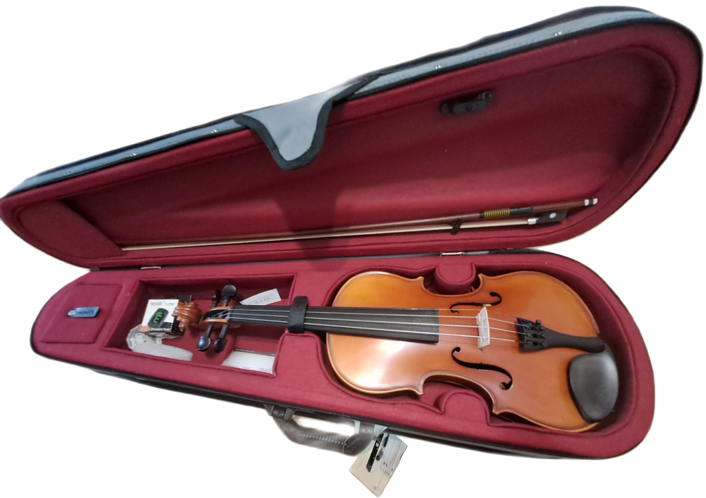 Sandner SV-2 4/4 full size violin in case - made in Germany