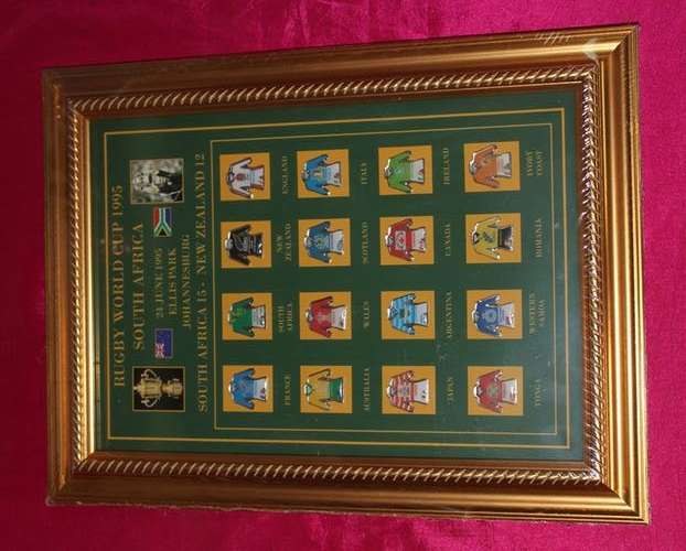 Framed pin Portrait:  Rugby World Cup 1995 (16 pins) 355mm X 265mm (New) as in Photo