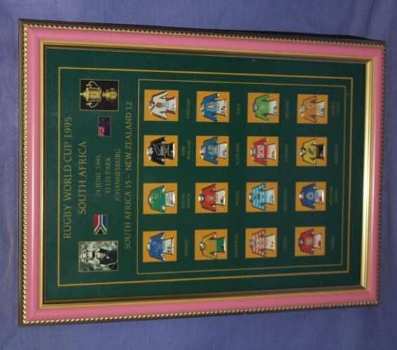 Framed Rugby 1995 World Cup Portret with 16 Pins 333mm x 245mm behind Glass