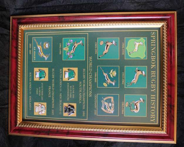 Framed pin Portrait:  Springbok emblem Hystory (4 pins) 355mm X 265mm (New) as in Photo
