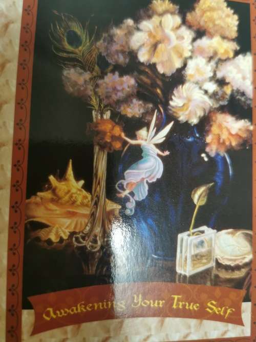 FAIRIES ORACLES CARDS