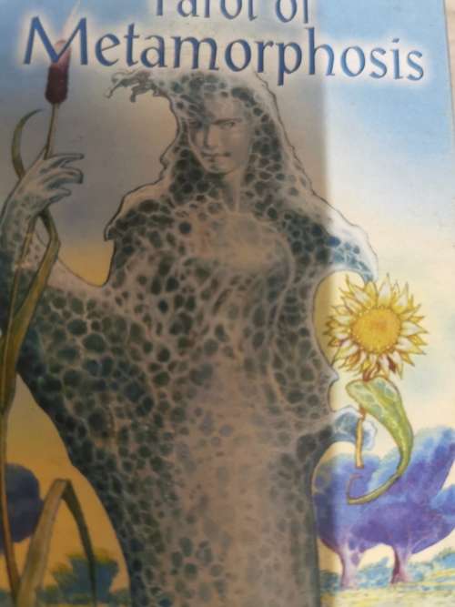 Tarots of Metamorphosis