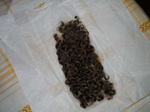 Kharisa Mohair Dark Brown Curly