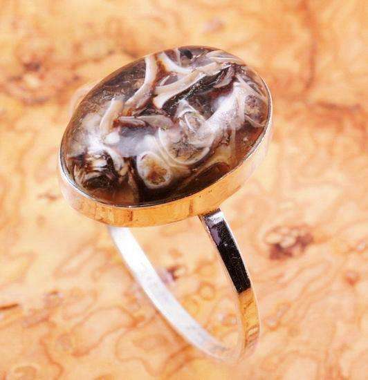 100% REAL! Turritella Fossil Gemstone set in Solid Sterling Silver