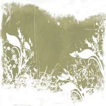 12x12 " SD PAPER SHADE OF GREEN   ***SPECIAL***