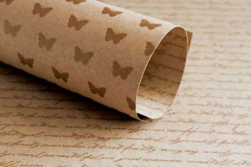 12x12" LADY PATTERN PAPER - KRAFT ESSENTIALS