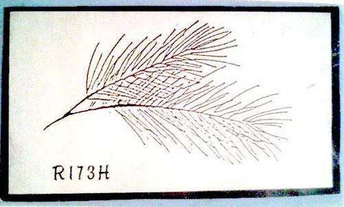 RUBBER STAMP - FEATHERS