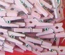 MINI NATURAL WOODEN PEGS (10)