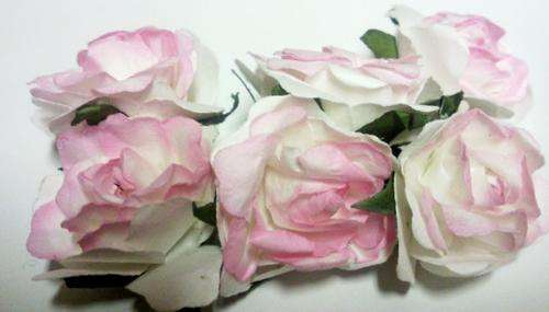 3cm MULBERRY ROSES 6