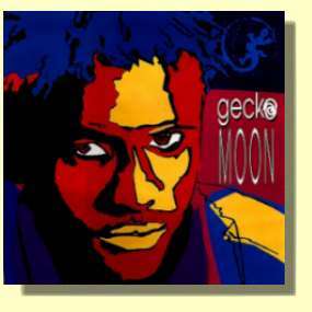 Gecko Moon-Gecko Moon (1991 SA reggae pop outfit on PVB Music)