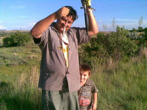 Laventelboom vakansie plaas CHALETS  4 nagte 4 persone