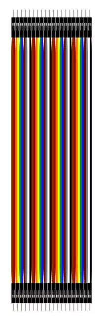 40Pcs 30cm 2.54mm Male to Male Dupont Cable for Arduino ***LOCAL STOCK***