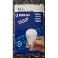 Smart Intelligent LED Emergency Light Bulb,Have Light during load shedding (PIN TYPE)