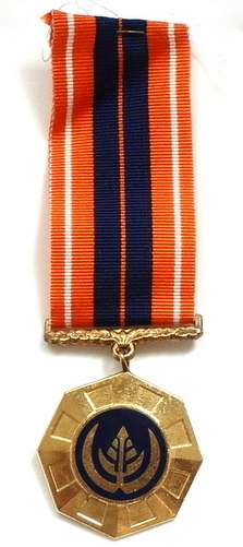 PRO PATRIA MEDAL - FULL SIZE NUMBER 85037