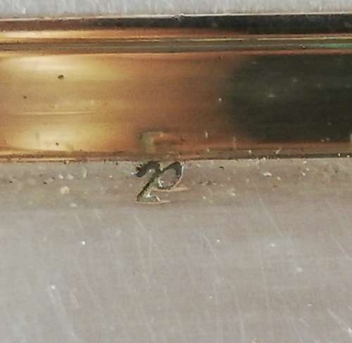 PAIR W M F ART NOUVEAU SARDINE SERVERS/DISHES - ORIGINAL GLASS **EXCELLENT** 220MM