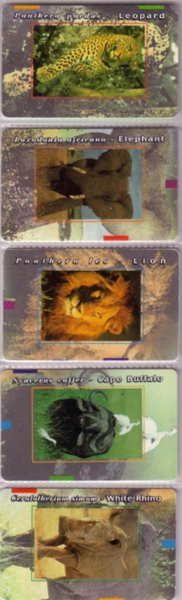 MTN Phone Cards - Big 5 - Postage included