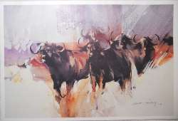 Derric van Rensburg - Buffalo