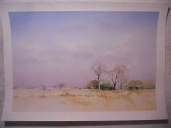 Richard Rennie - Landscape2