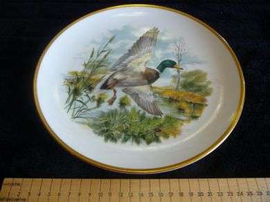 Royal Chelsea " The Mallard " Birds of the country side plate