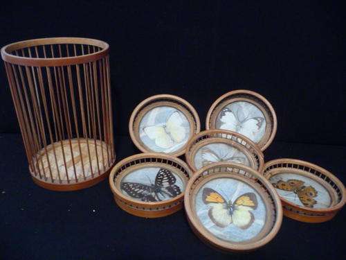Vintage Coasters Set of 6 Plus Holder - Real Butterfly - Bamboo Handcrafted