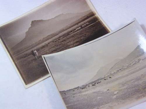Lot of 2 old photos of Green Point common circa 1900