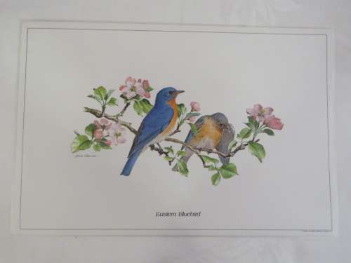 Lot of 6 table mats with songbird series