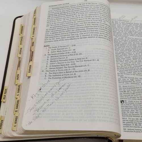 The New International Version study Bible - Kenneth Barker