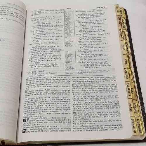 The New International Version study Bible - Kenneth Barker