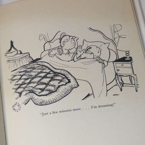 Clementine and her world - 1960 cartoon book - Dust cover damaged