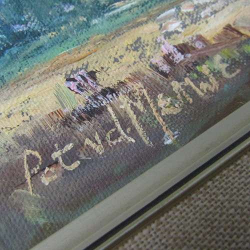 Pat van der Merwe landscape oil painting - size of art 30 x 49cm and size of frame 43 x 73cm